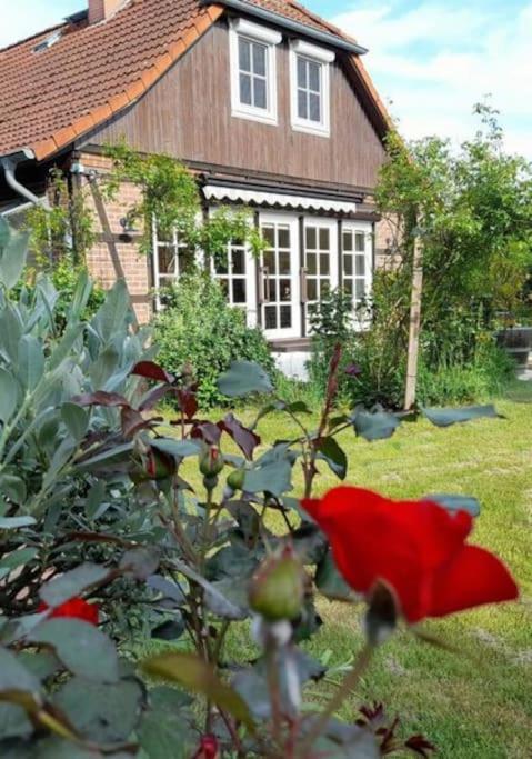 Ferienhaus Gartower See Extérieur photo