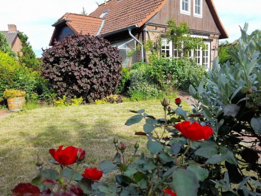 Ferienhaus Gartower See Extérieur photo