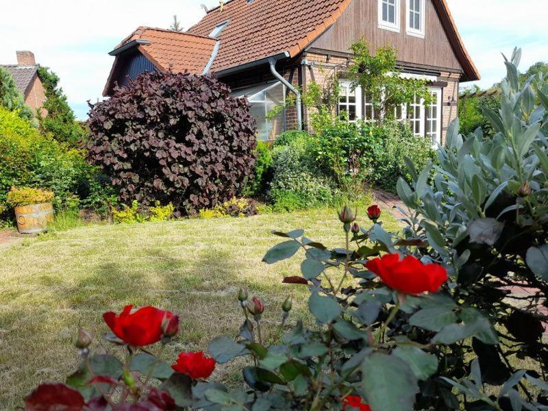 Ferienhaus Gartower See Extérieur photo